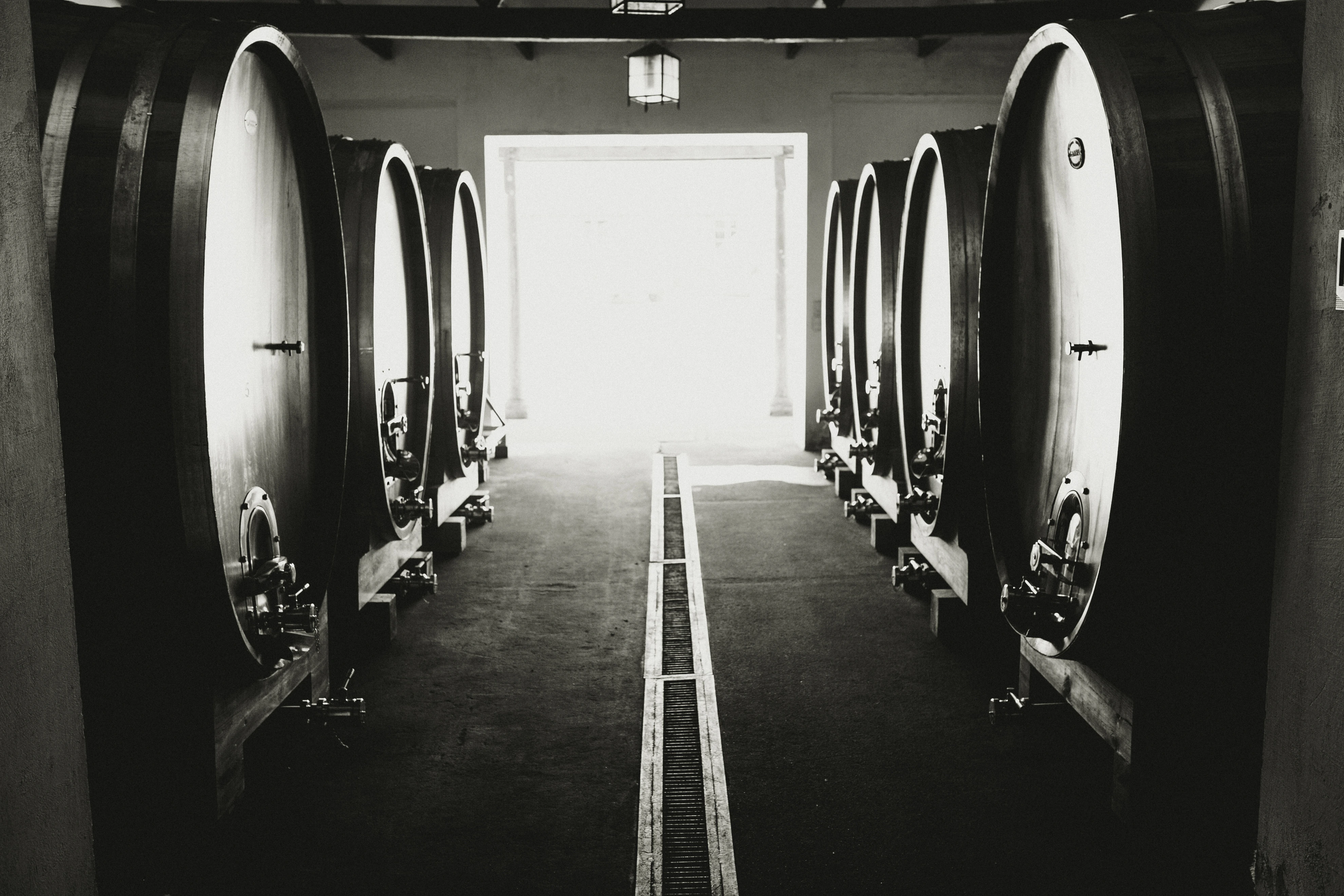 Sala de guarda de Longaví Wines